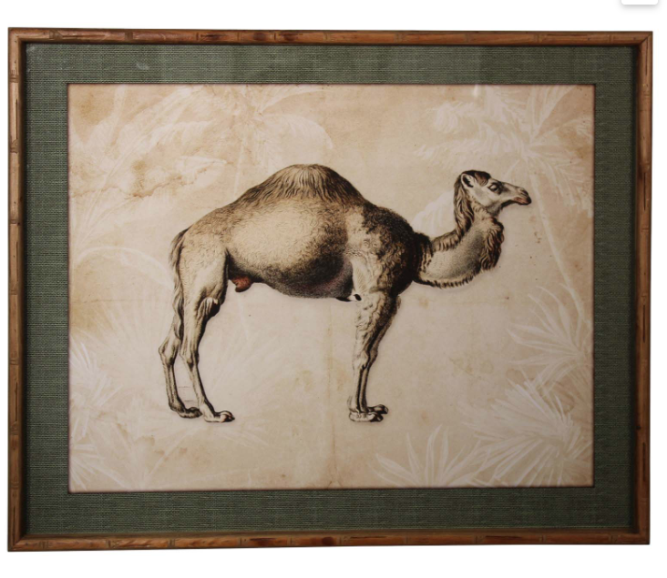 Set Of 2 Camel And Elephant Wall Art