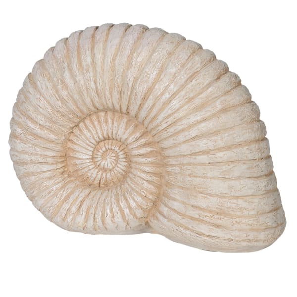 Large Ammonite Shell Ornament