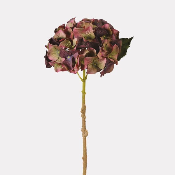 Plum Hydrangea Stem