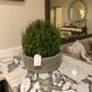 French Rosemary in Grey Pot