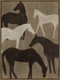 Horses Framed Print