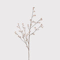 Blush Pom Pom Stem