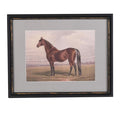 Regal Stallion Framed Equestrian Wall Art