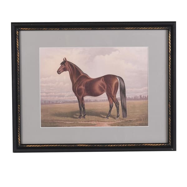 Regal Stallion Framed Equestrian Wall Art