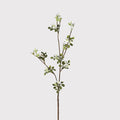 White Wax Flower Stem