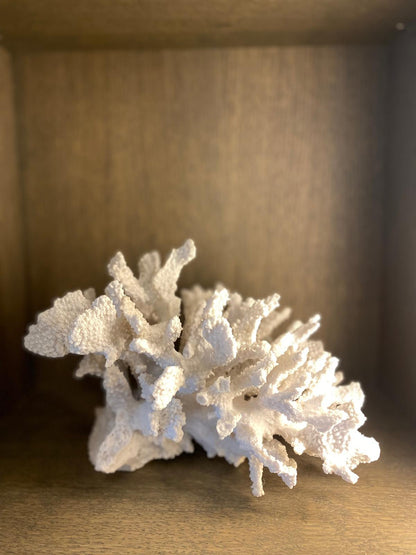 White Faux Coral Ornament