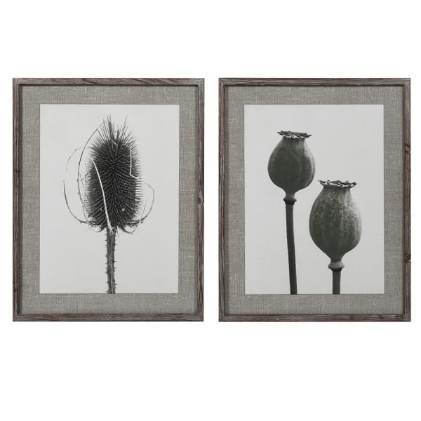 Poppy framed prints set of 2