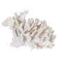 Large Decorative Coral Decoration