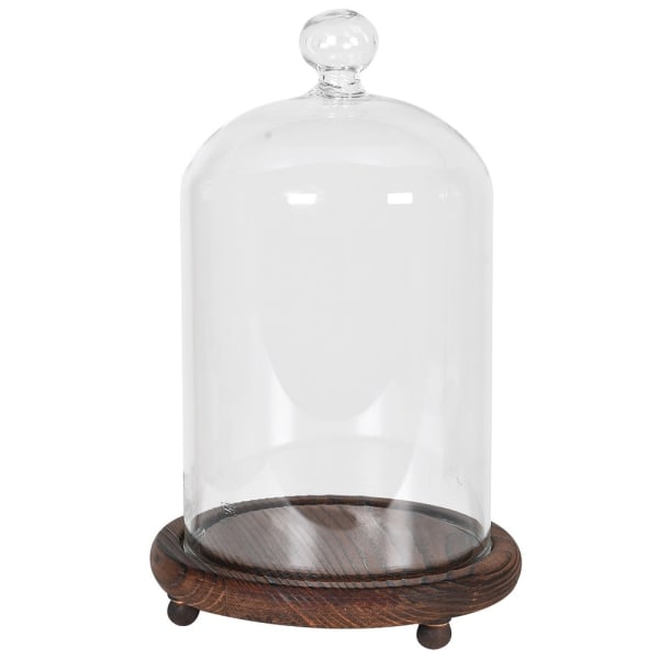 Glass Dome with Wooden Base Small