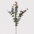 Eucalyptus Blush Spray