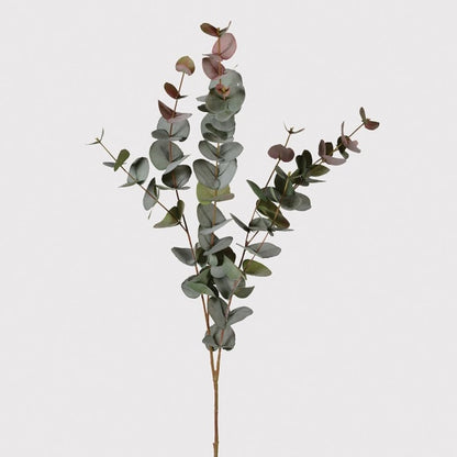 Eucalyptus Blush Spray